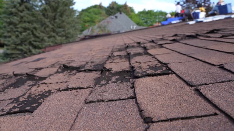 Best Roof Coating and Sealing  in Bay Village, OH